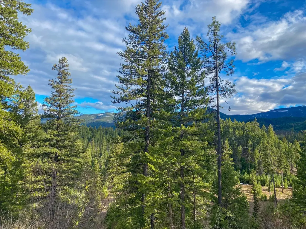 129 Trout Creek Road Trout Creek MT 59874