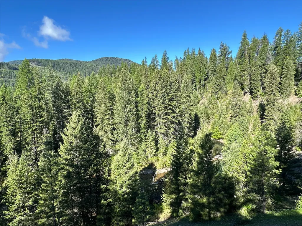 129 Trout Creek Road Trout Creek MT 59874