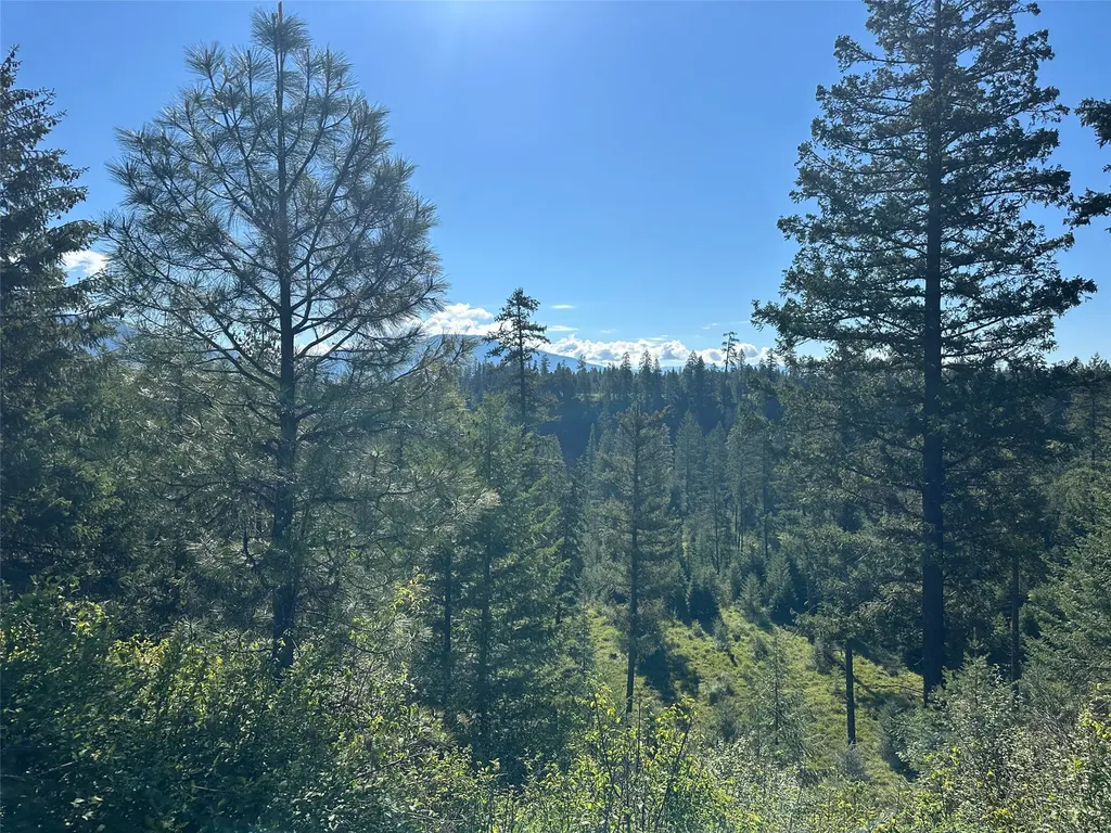 129 Trout Creek Road Trout Creek MT 59874