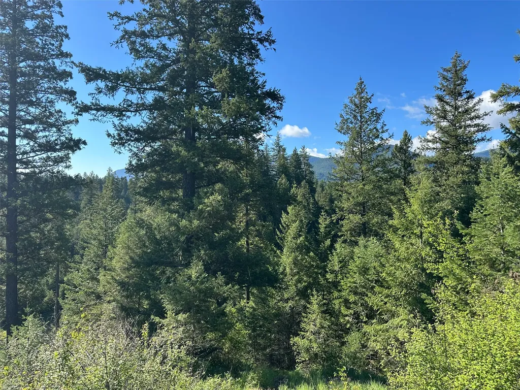 129 Trout Creek Road Trout Creek MT 59874