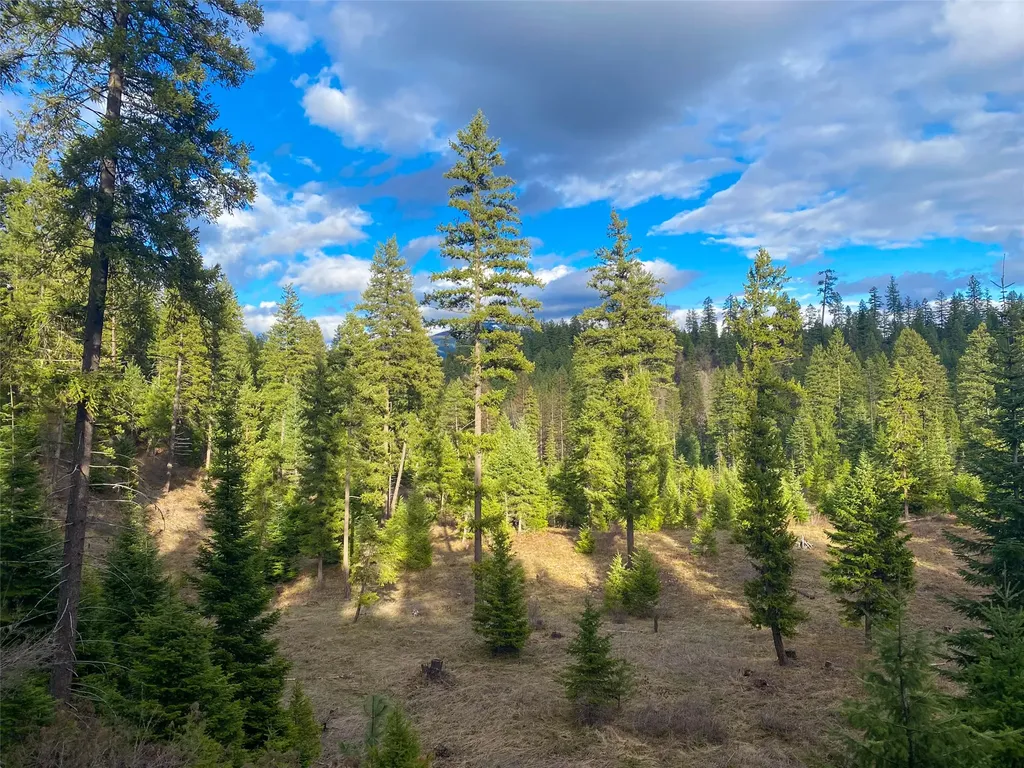 129 Trout Creek Road Trout Creek MT 59874