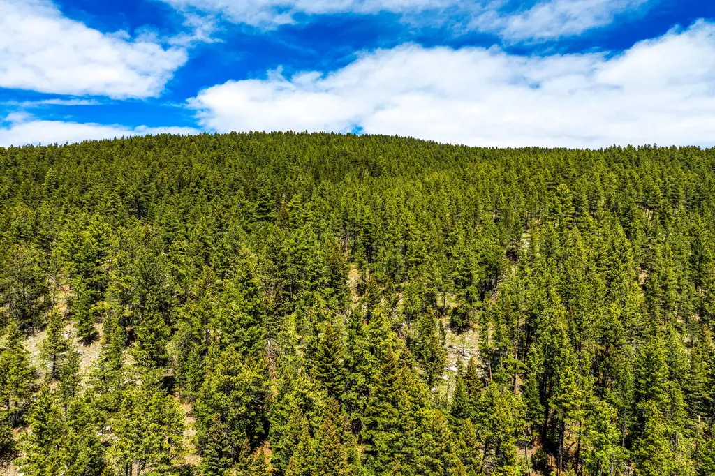 3567 Limestone Canyon Road Raynesford MT 59469