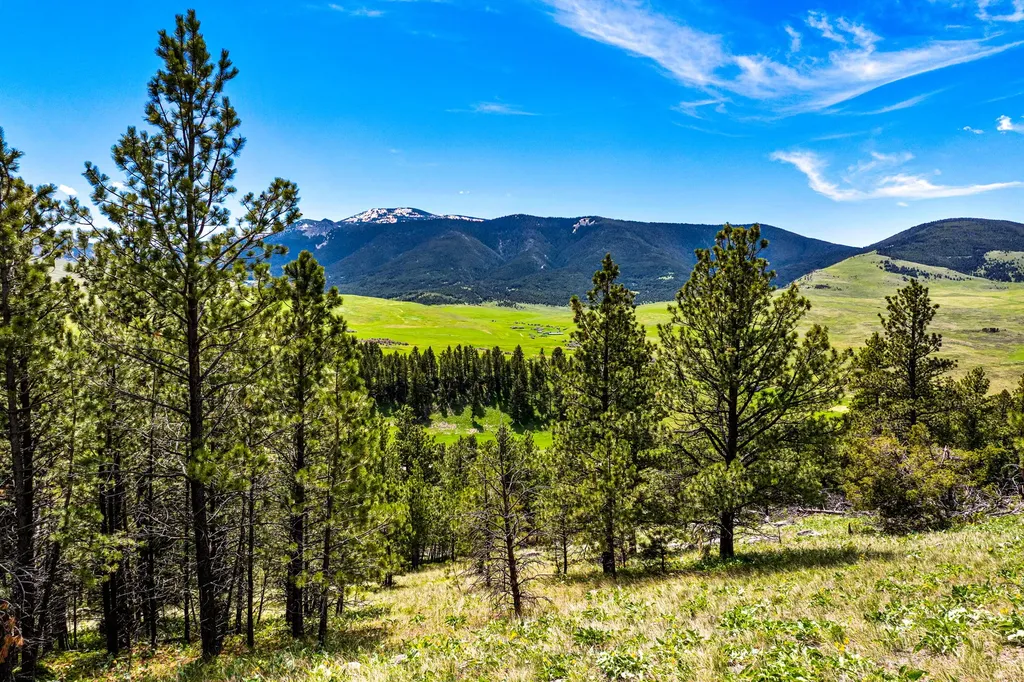 3567 Limestone Canyon Road Raynesford MT 59469