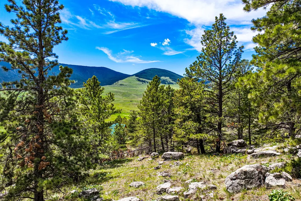3567 Limestone Canyon Road Raynesford MT 59469