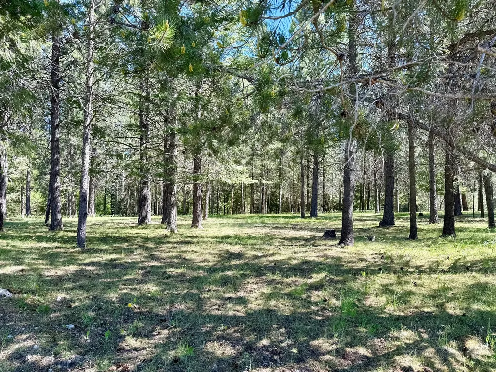 4571 Mt Highway 200 Thompson Falls MT 59873