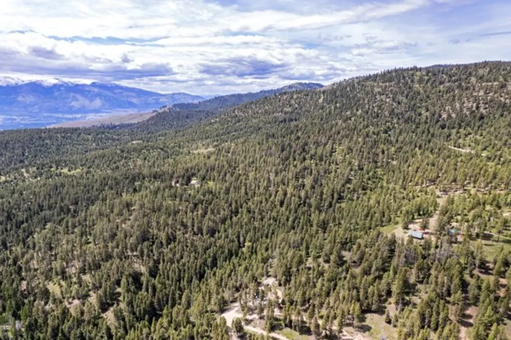 4522 Loose Moose Trail Florence MT 59833