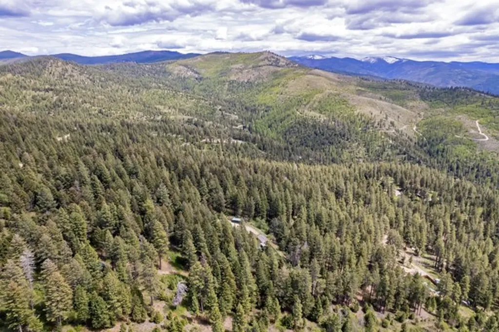 4522 Loose Moose Trail Florence MT 59833