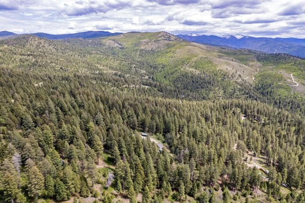 4522 Loose Moose Trail Florence MT 59833
