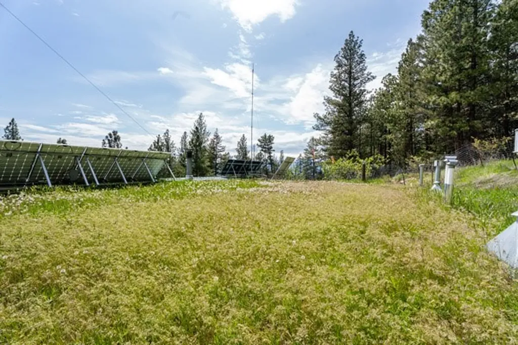 4522 Loose Moose Trail Florence MT 59833