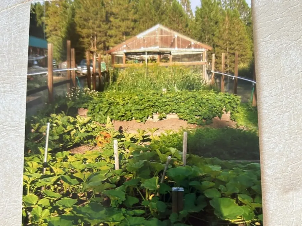 4522 Loose Moose Trail Florence MT 59833
