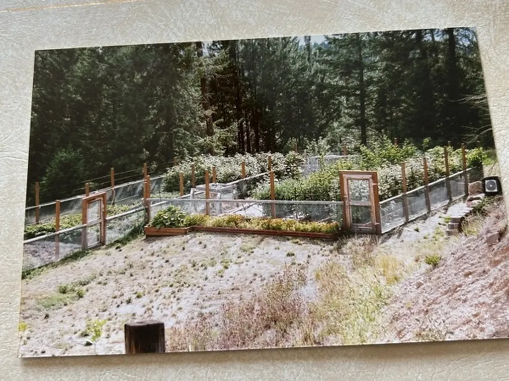 4522 Loose Moose Trail Florence MT 59833