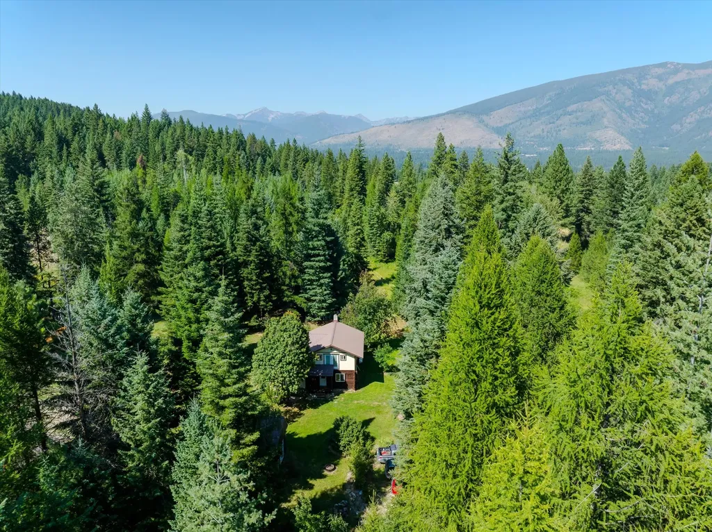 36 Forest Lane Trout Creek MT 59874