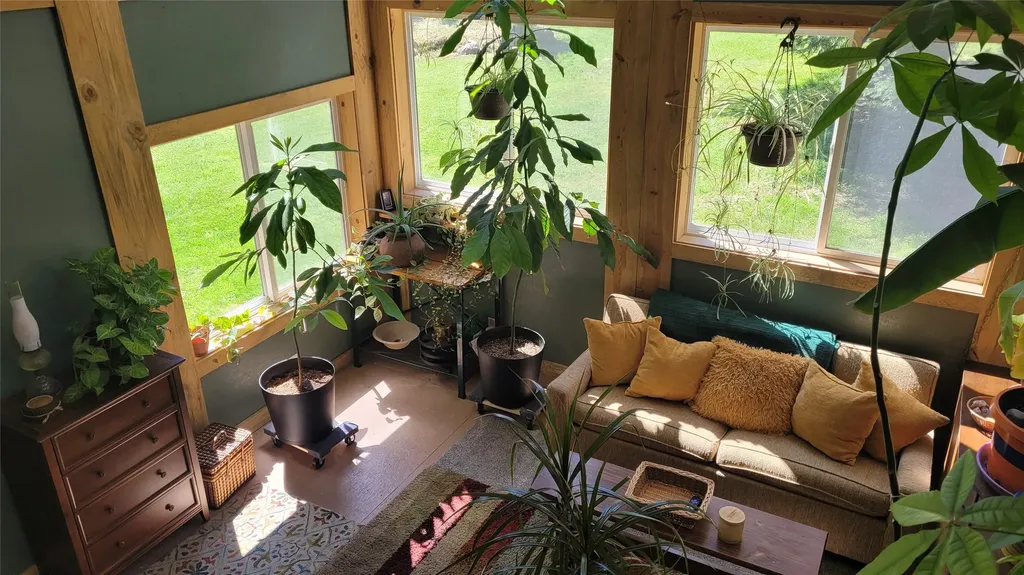 36 Forest Lane Trout Creek MT 59874