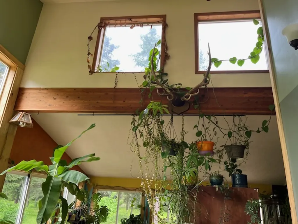36 Forest Lane Trout Creek MT 59874
