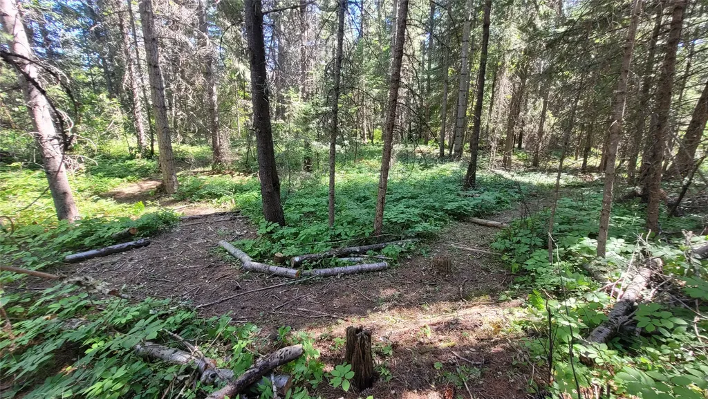 36 Forest Lane Trout Creek MT 59874