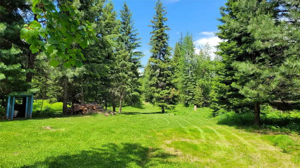 36 Forest Lane Trout Creek MT 59874