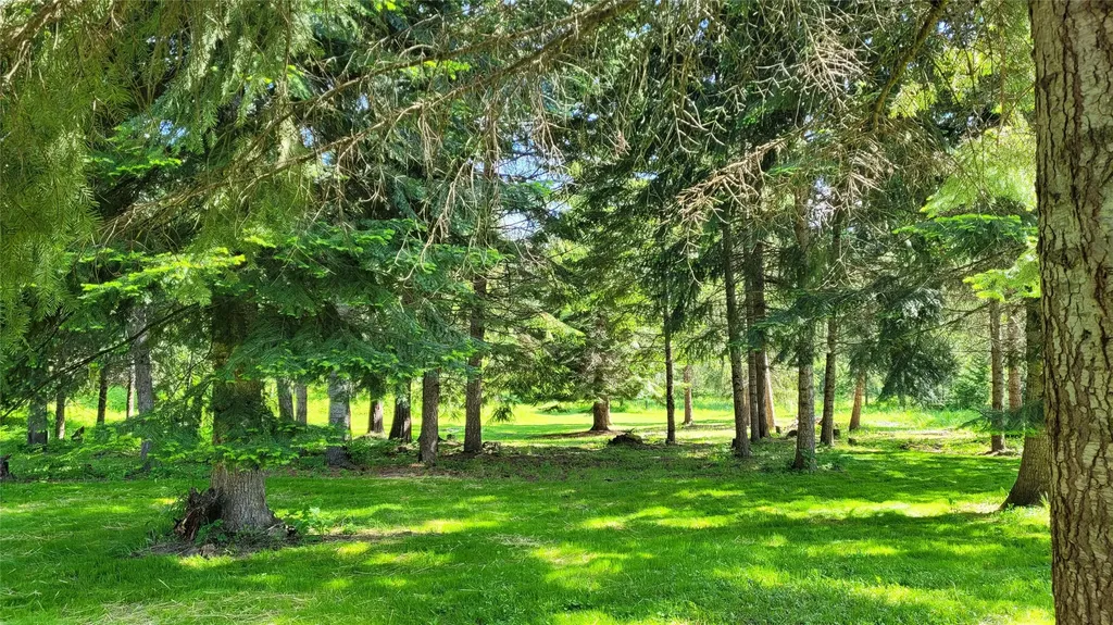 36 Forest Lane Trout Creek MT 59874