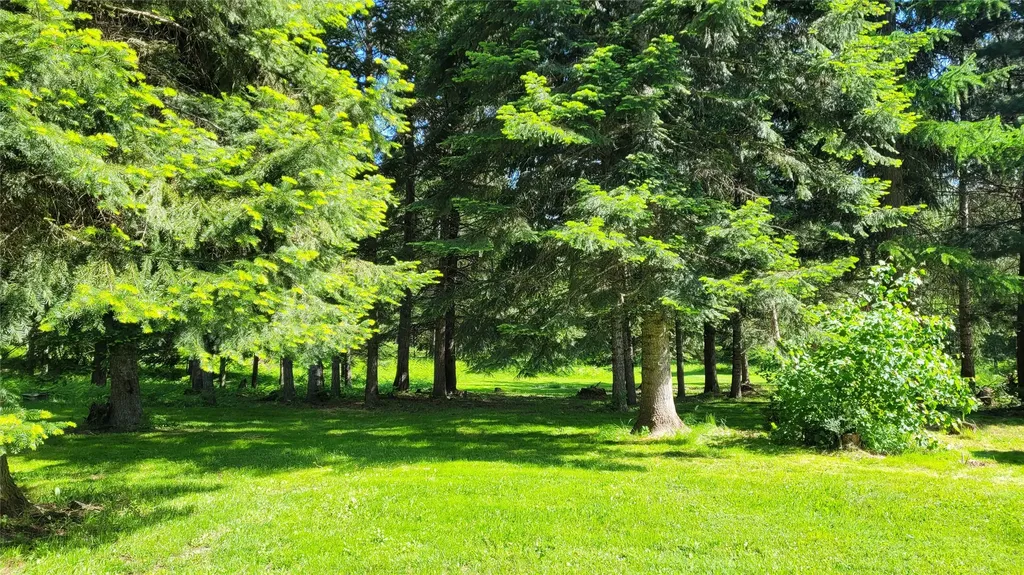 36 Forest Lane Trout Creek MT 59874