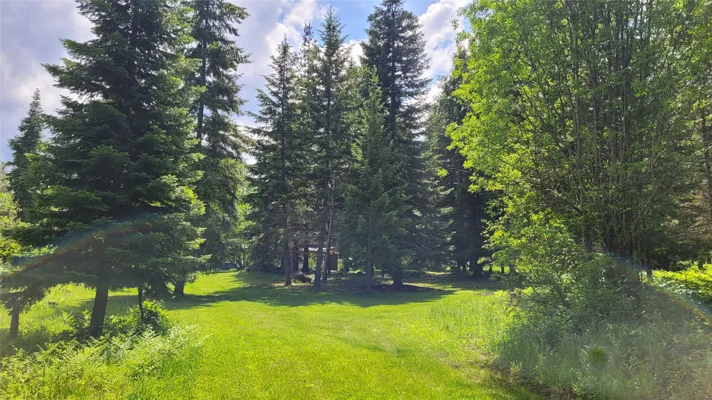 36 Forest Lane Trout Creek MT 59874