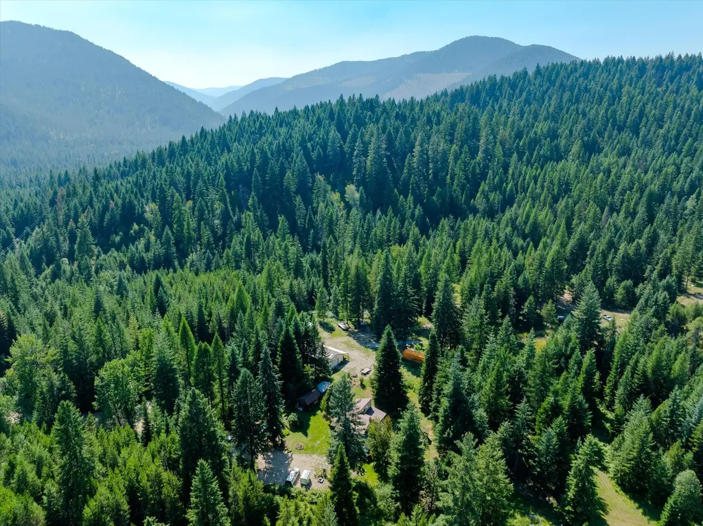 36 Forest Lane Trout Creek MT 59874