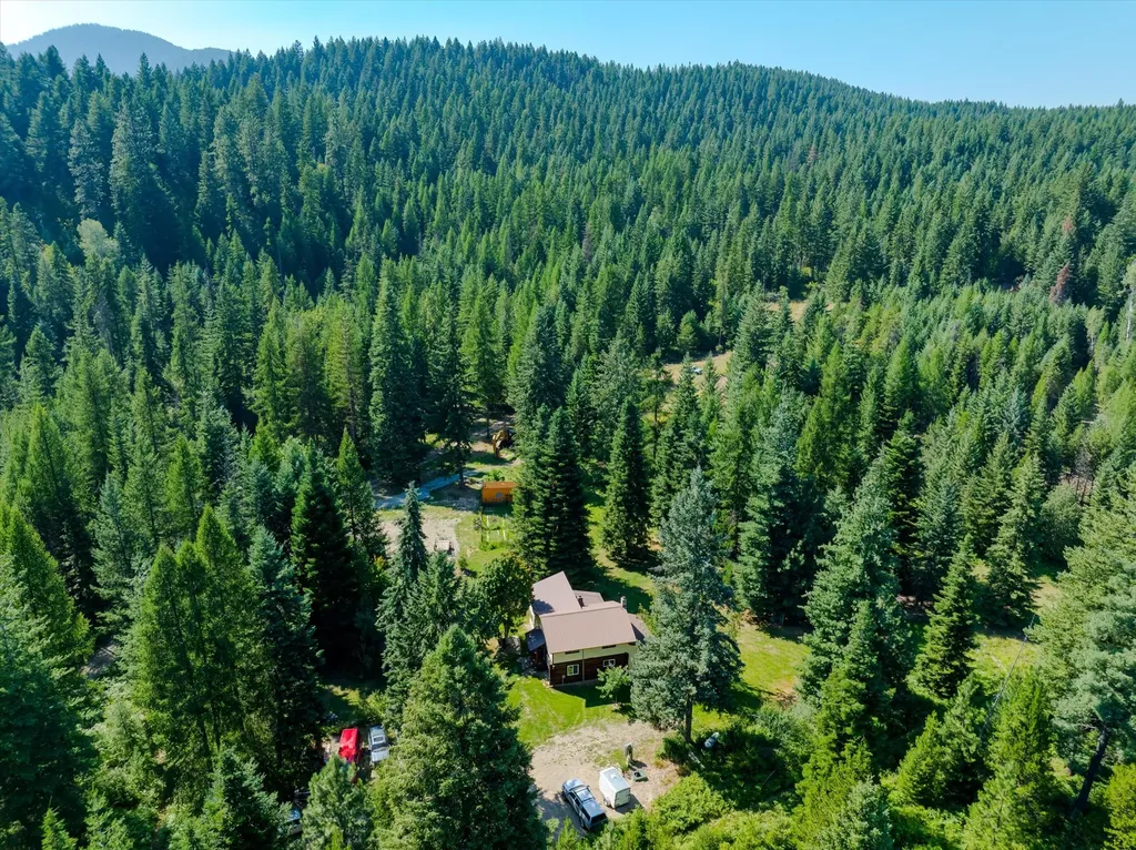 36 Forest Lane Trout Creek MT 59874
