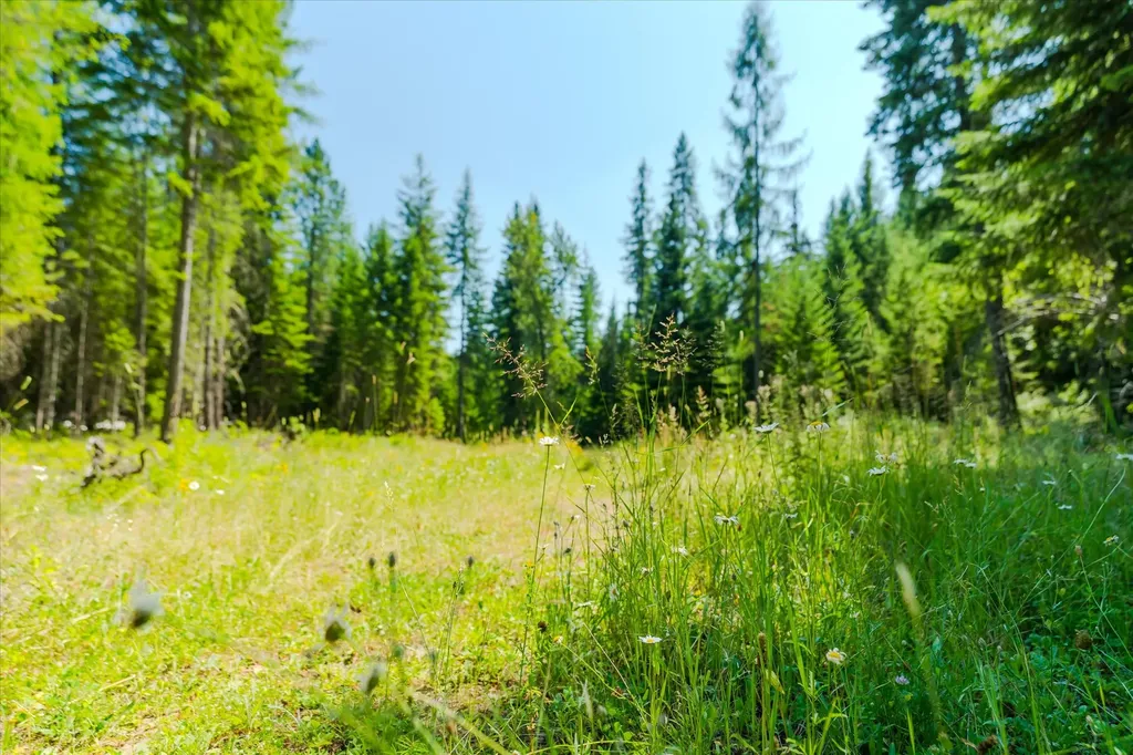 36 Forest Lane Trout Creek MT 59874