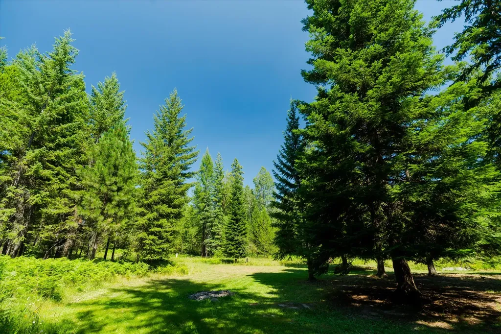 36 Forest Lane Trout Creek MT 59874