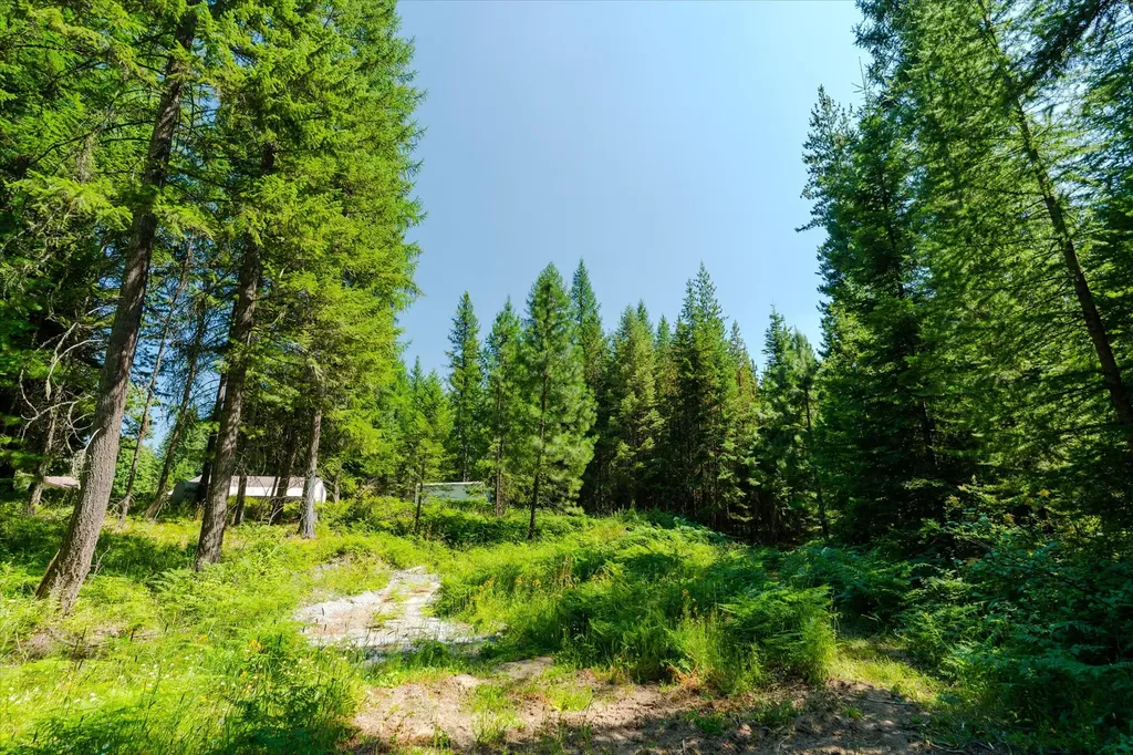 36 Forest Lane Trout Creek MT 59874