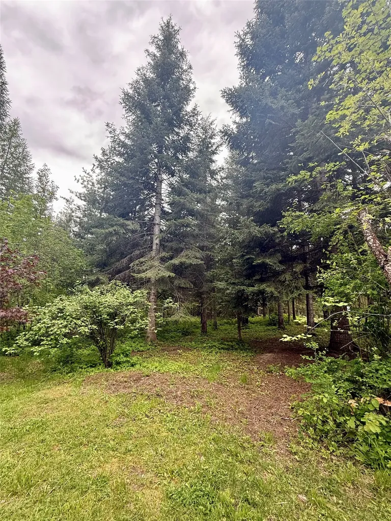 36 Forest Lane Trout Creek MT 59874