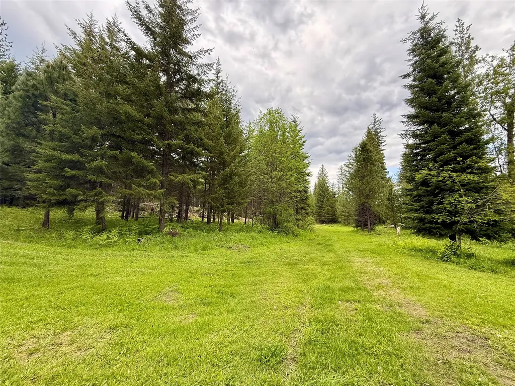 36 Forest Lane Trout Creek MT 59874