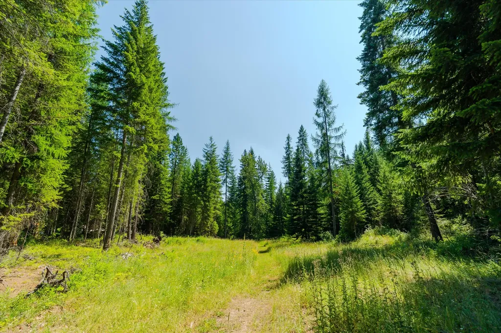 36 Forest Lane Trout Creek MT 59874