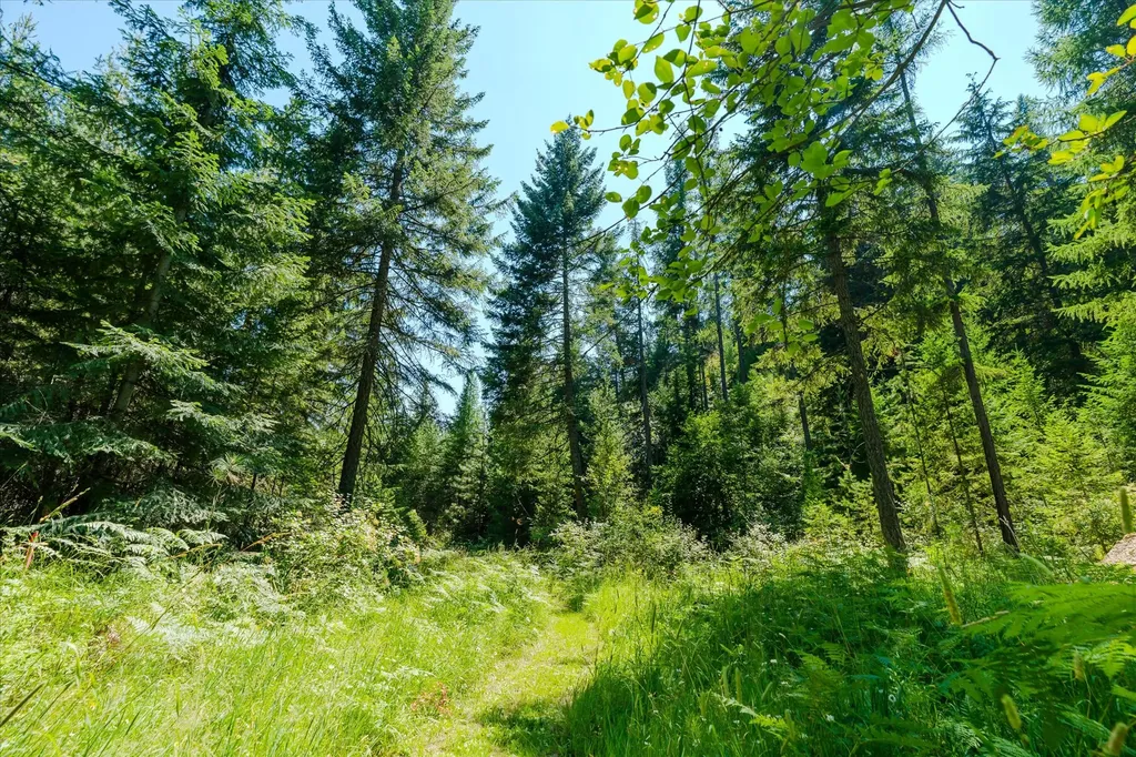 36 Forest Lane Trout Creek MT 59874