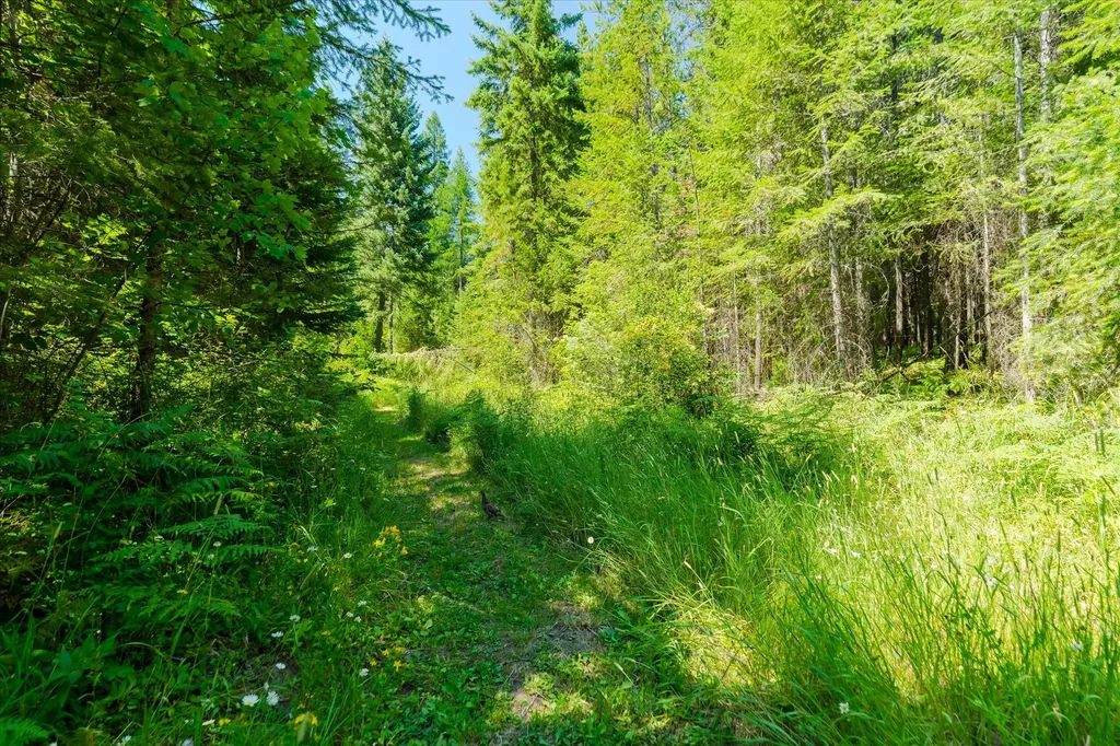 36 Forest Lane Trout Creek MT 59874