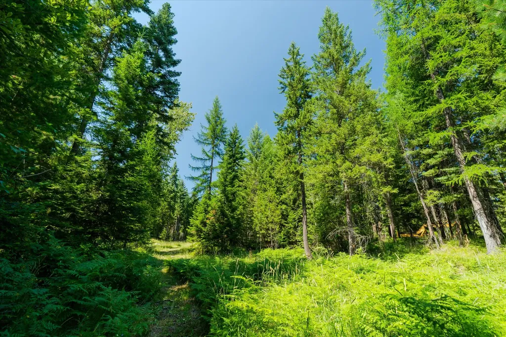 36 Forest Lane Trout Creek MT 59874