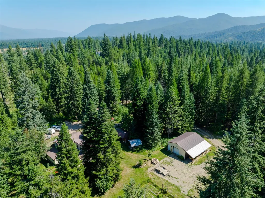 36 Forest Lane Trout Creek MT 59874