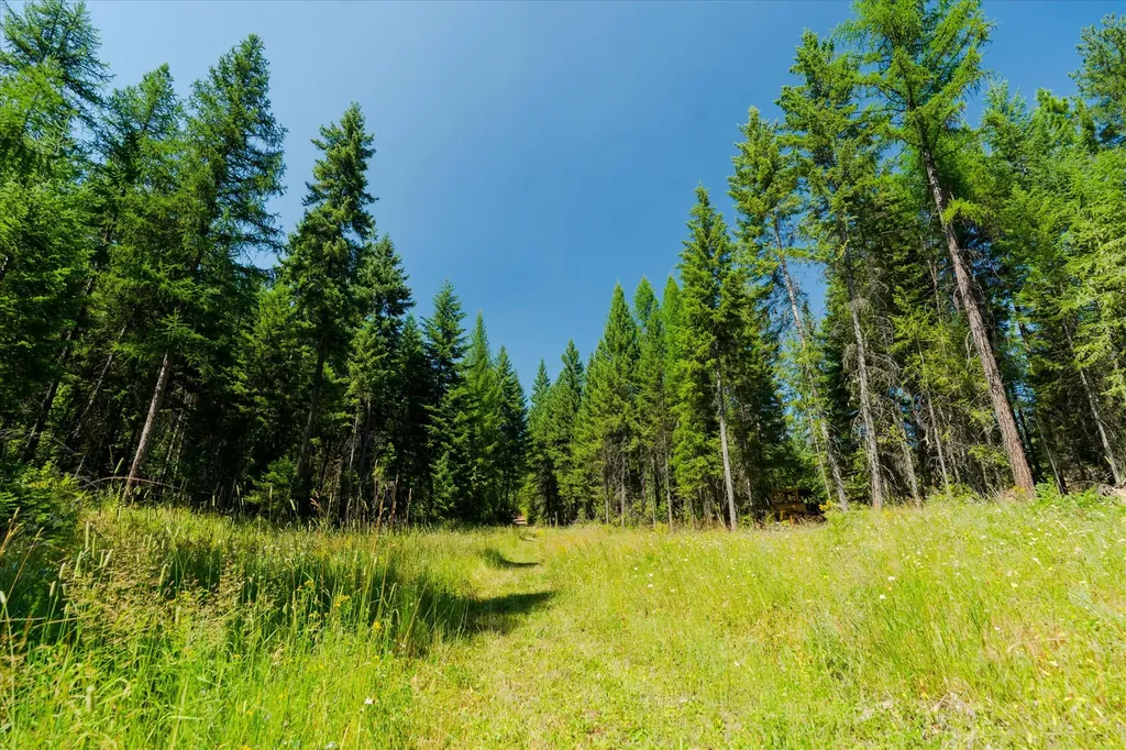 36 Forest Lane Trout Creek MT 59874