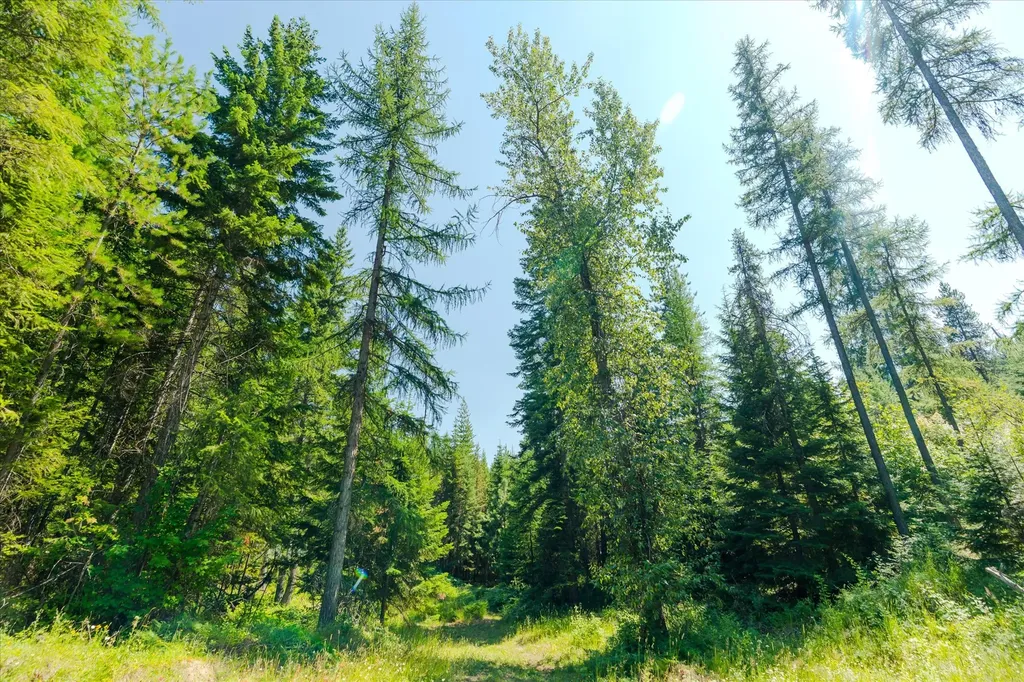 36 Forest Lane Trout Creek MT 59874