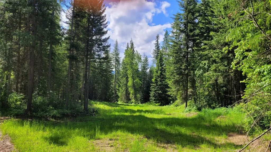 36 Forest Lane Trout Creek MT 59874