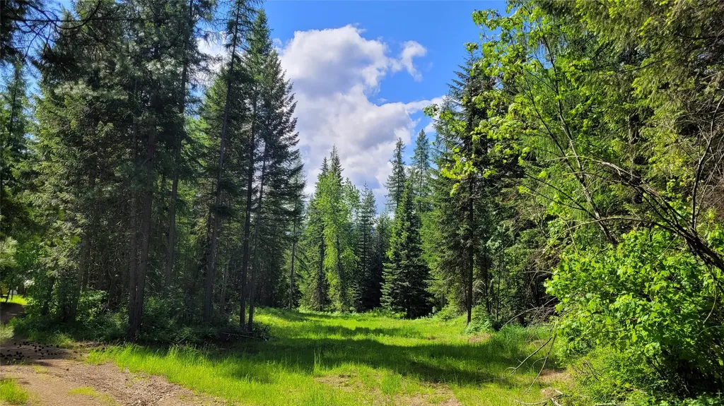36 Forest Lane Trout Creek MT 59874