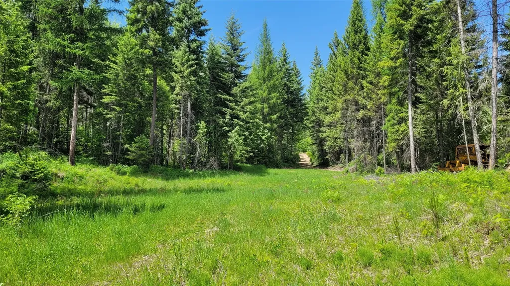 36 Forest Lane Trout Creek MT 59874