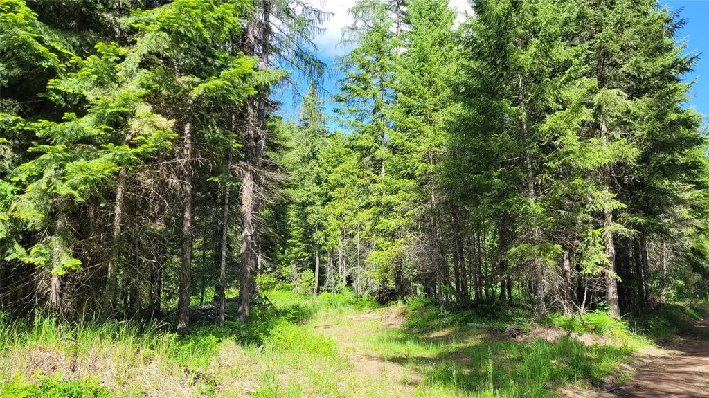36 Forest Lane Trout Creek MT 59874
