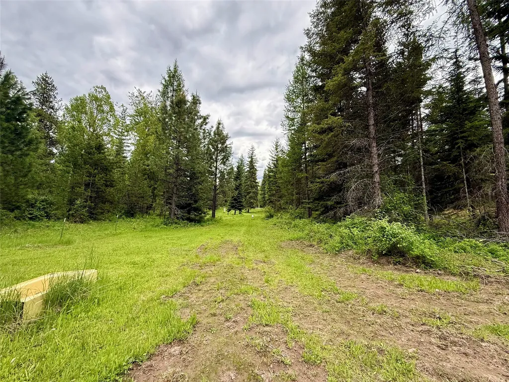 36 Forest Lane Trout Creek MT 59874