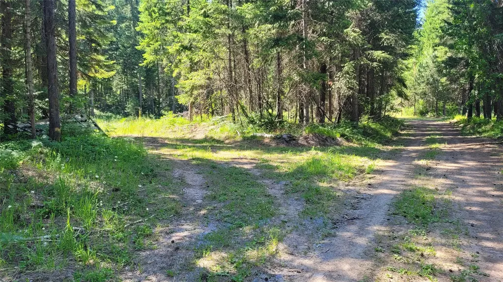 36 Forest Lane Trout Creek MT 59874