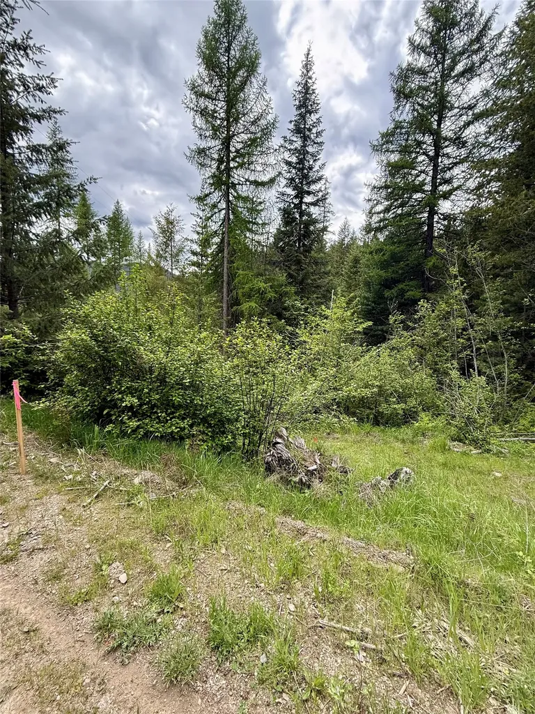 36 Forest Lane Trout Creek MT 59874