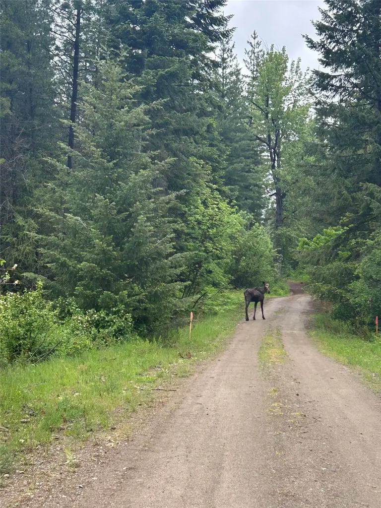36 Forest Lane Trout Creek MT 59874