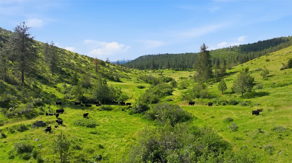 54 W Magpie Creek Road Dixon MT 59831