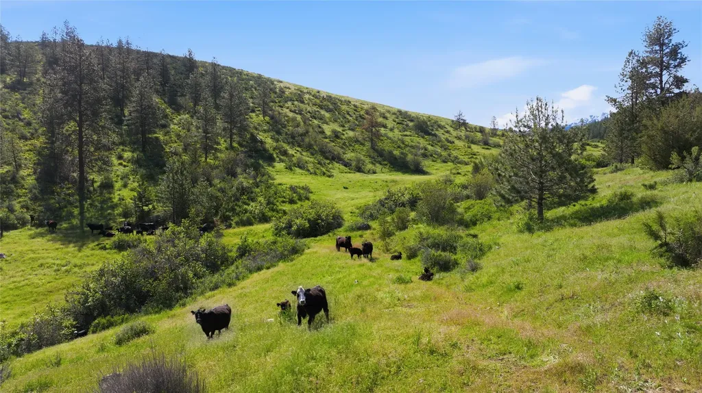 54 W Magpie Creek Road Dixon MT 59831