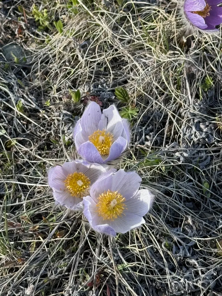Tbd Blossburg Road Helena MT 59602