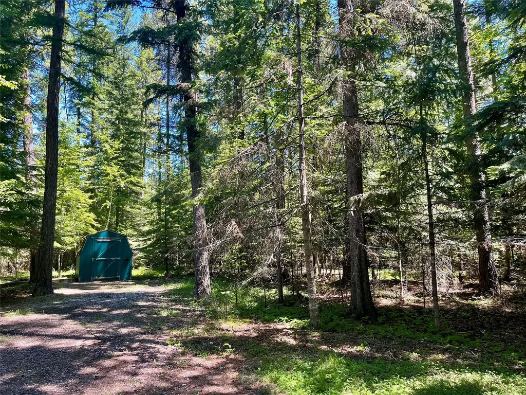 29189 S Ferndale Drive Bigfork MT 59911