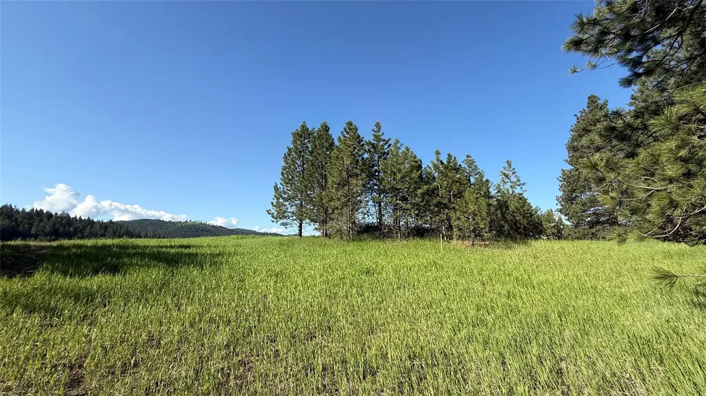 1052 Pheasant Ridge Drive Kalispell MT 59901
